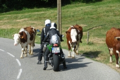 Motorradtour, Motorrad-Ausfahrt Seealpen, Lauter Auspuff e.V. , LAPD