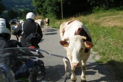 Motorradtour, Motorrad-Ausfahrt Seealpen, Lauter Auspuff e.V. , LAPD