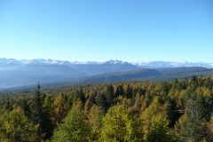 sdtirol_2012__142