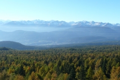 sdtirol_2012__150