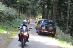 2014_vogesen_35_okt.__5211